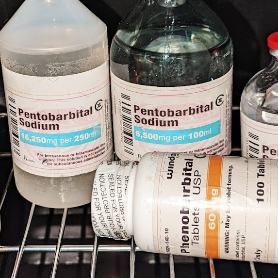 Where To Buy Pentobarbital Sodium Online in USA, Order Nembutal: +49 1523 7122530