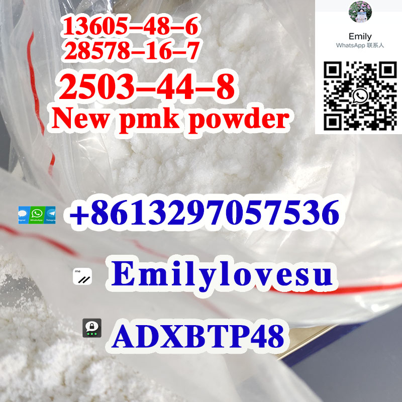 2503-44-8  PMK powder CAS 28578-16-7 PMK ethyl glycidate powder 